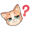 ❓