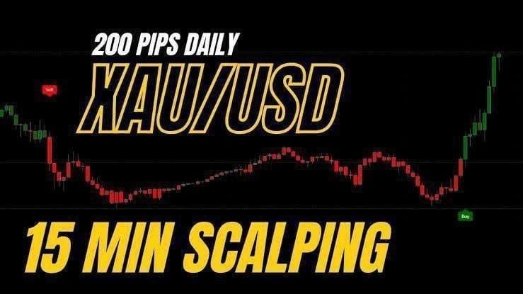 GOLD BULL TRADER