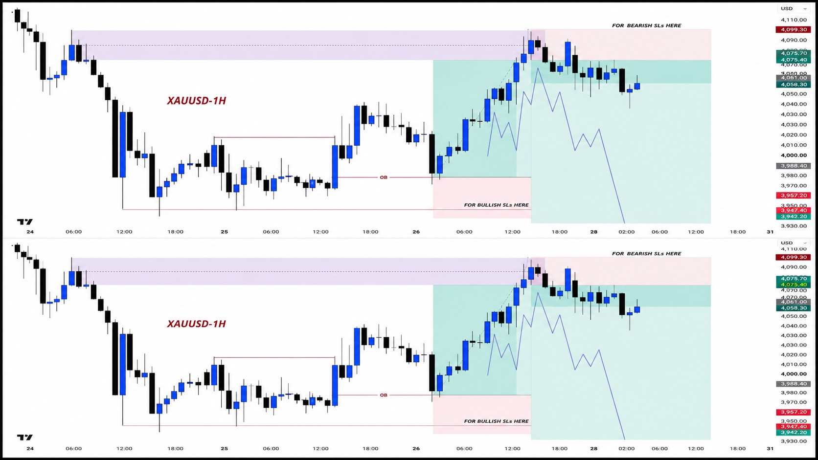Market Trend Academy