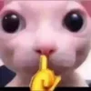 🤫