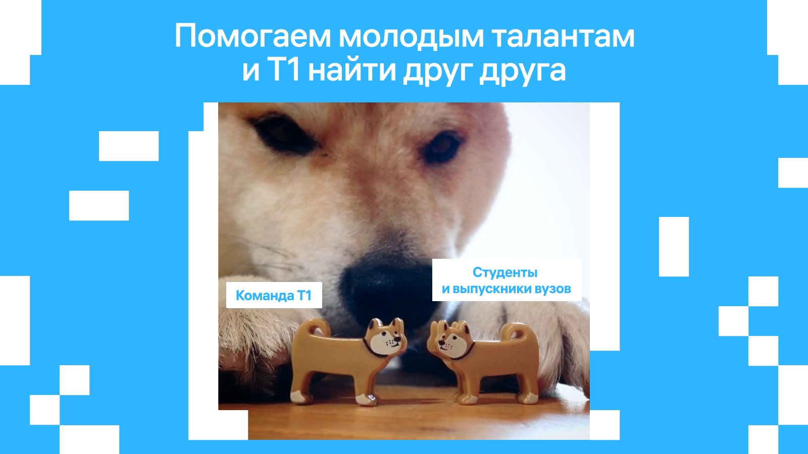 Куда идти в ИТ