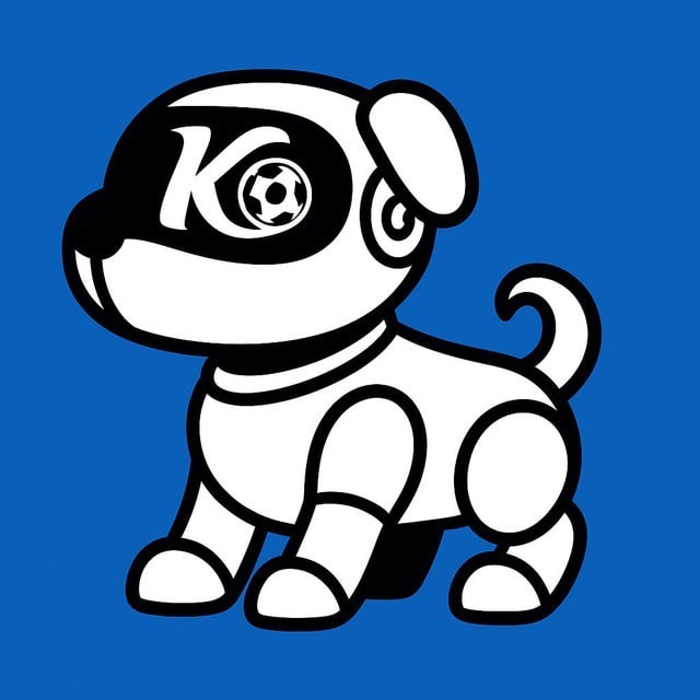 @kaiyunlfei_bot